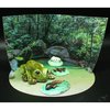 Wild Science WILD Science, Environmental Science, Amazing and Bizarre Frogs of the World, For Ages 6+ WES950